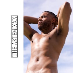 The Artemixxx