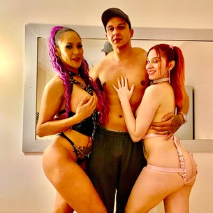 Canil do Pitbull Porn