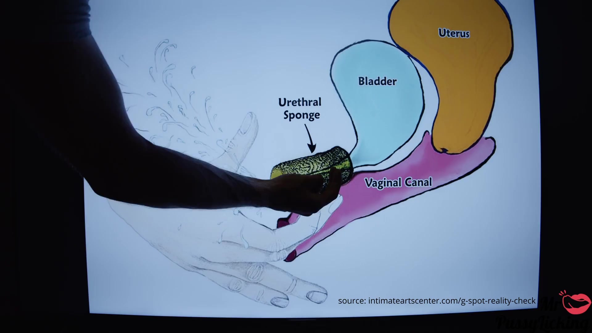 How to?! SQUIRTING TUTORIAL - Mr PussyLicking