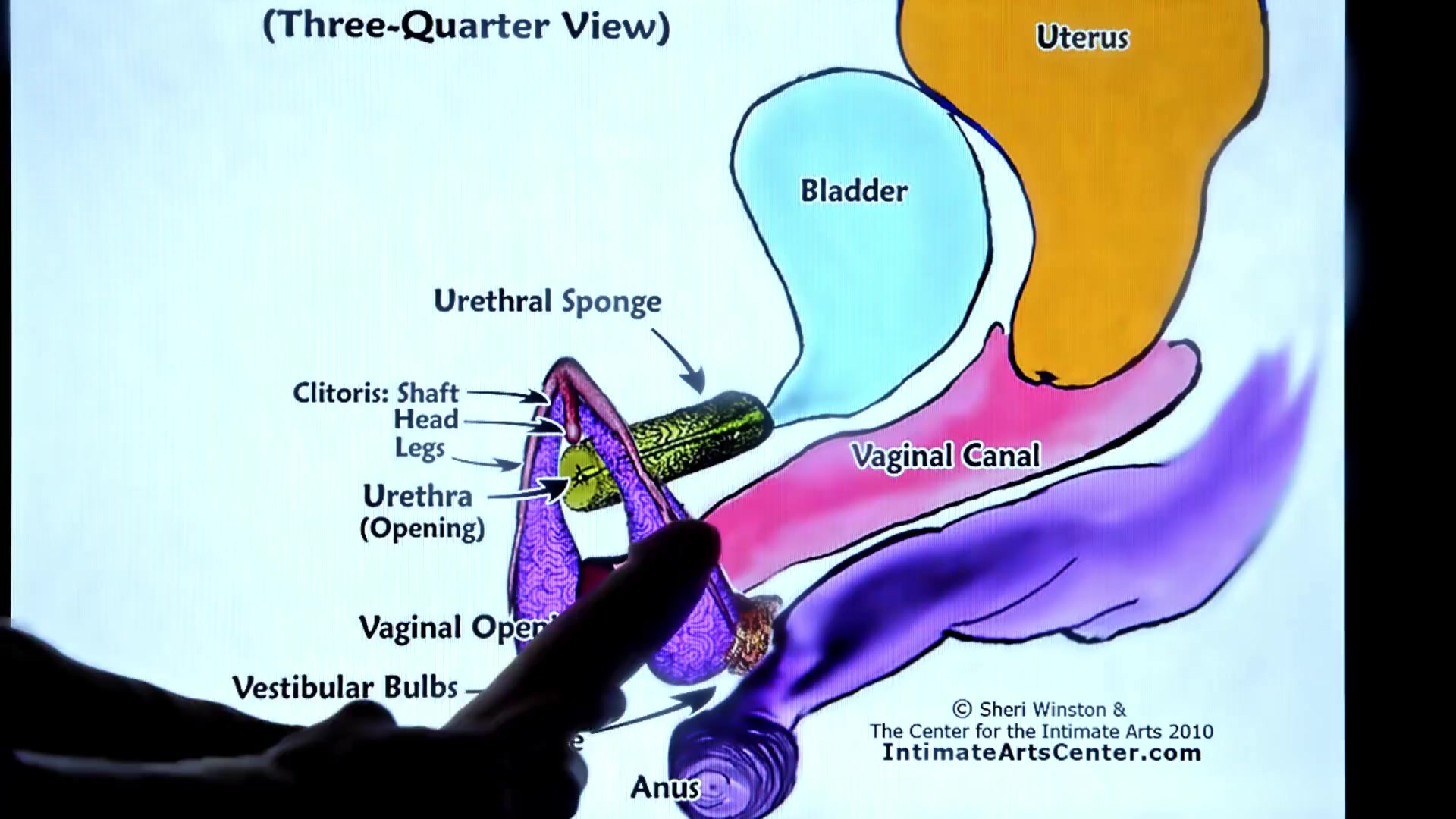 SQUIRTING TUTORIAL 2 !!! Mr PussyLicking