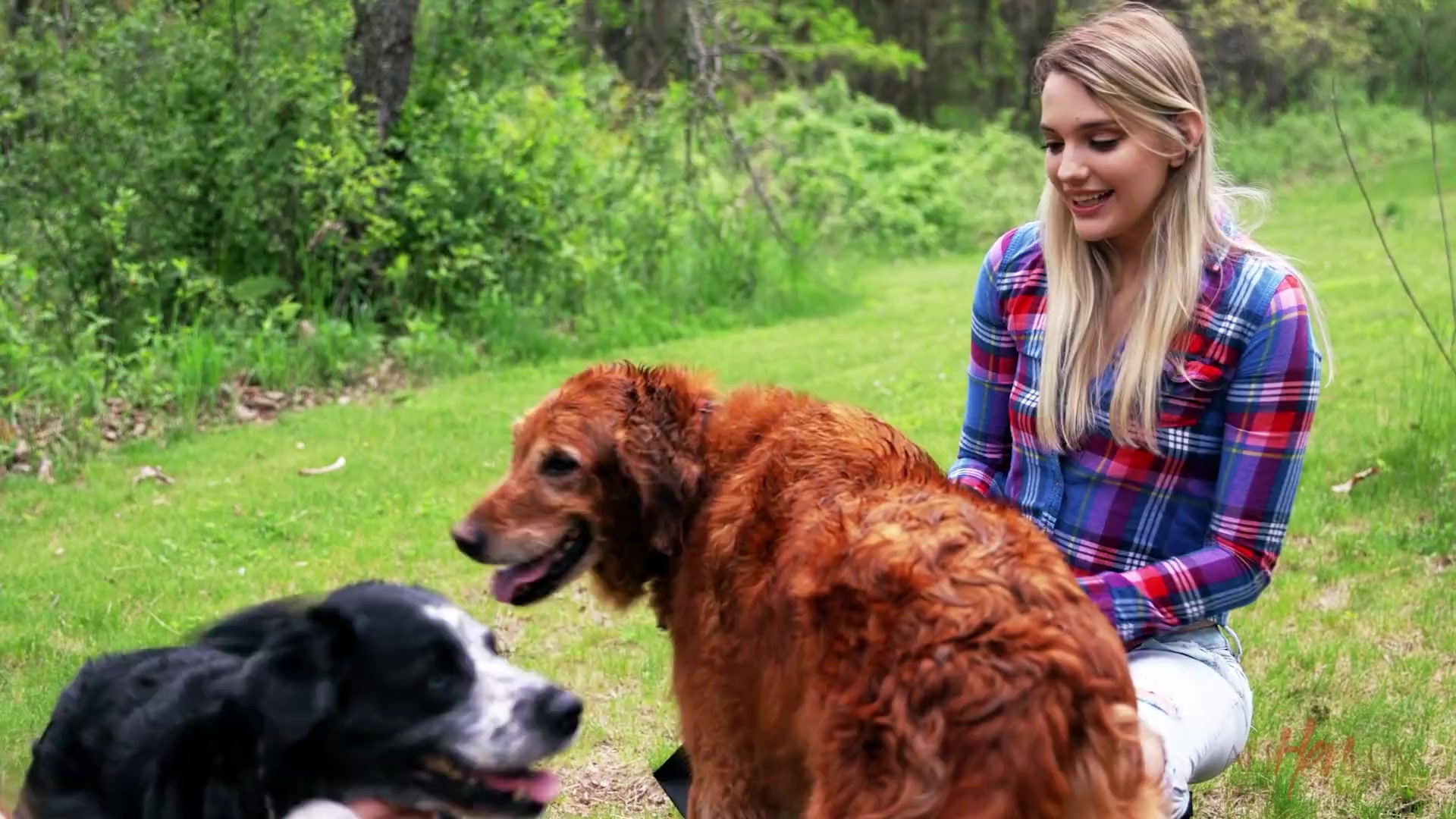 AllHerLuv - Who Rescued Who Pt. IV - Teaser